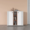 Premium File Cabinet with Modern Storage and LED Lighting