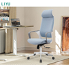 Liyu furniture custom boss manager chair executive officers chairs folding arm premium office chair