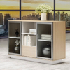 Liyu Furniture Small Office Storage Cabinet Wooden Design Short Filing Office Cabinet