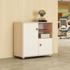 High-End File Cabinet with Voice-Control LED and Sound Insulation