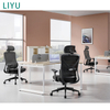 Liyu Furniture Comfortable Ergonomic Study Chair Modern Home Office Fabric Desk Chair for Students for Writing And Sedentary Work
