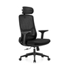 Liyu Ergonomic Office Mesh Chair with Gas Lift & Lumbar Support Comfortable Design for Long Sitting