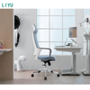 Liyu furniture custom boss manager chair executive officers chairs folding arm premium office chair