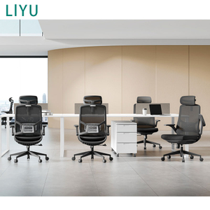 Liyu Foshan Ergonomic High Back Executive Office Chair Adjustable Office Chair Mesh Chair with Lumbar Support And 2D Headrest