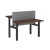 Electric Height Adjustable Desk with Ergonomic Design