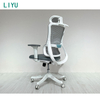 Liyu Furniture High Quality Ergonomic Office Chair Luxury Executive Chair Gas Lift Cylinder Swivel Office Chair