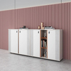 Premium File Cabinet with Modern Storage and LED Lighting